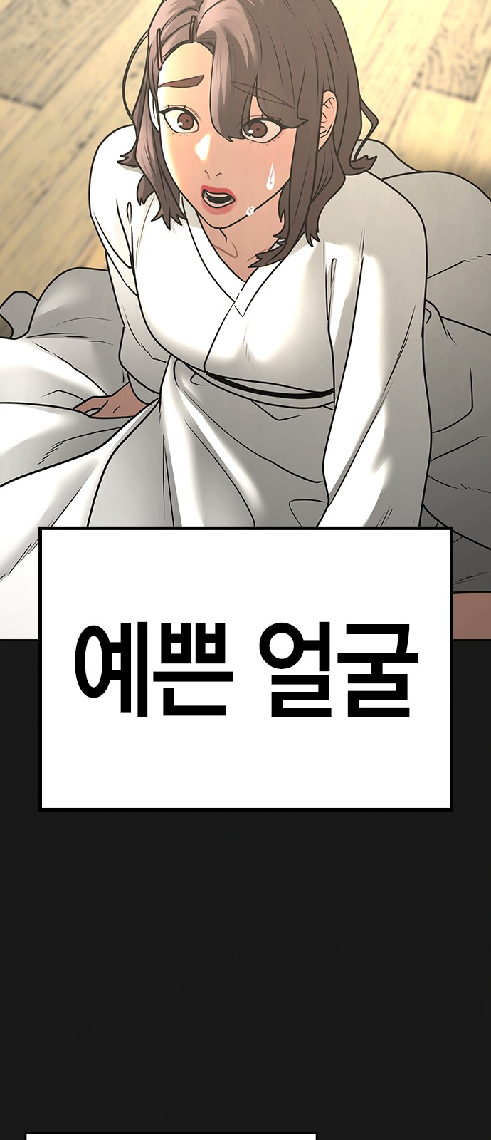 52 페이지