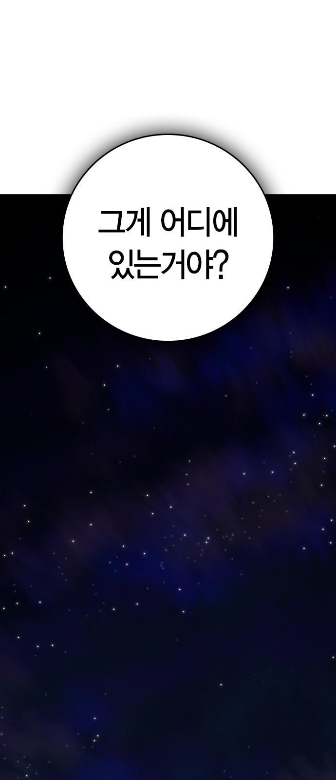 113 페이지