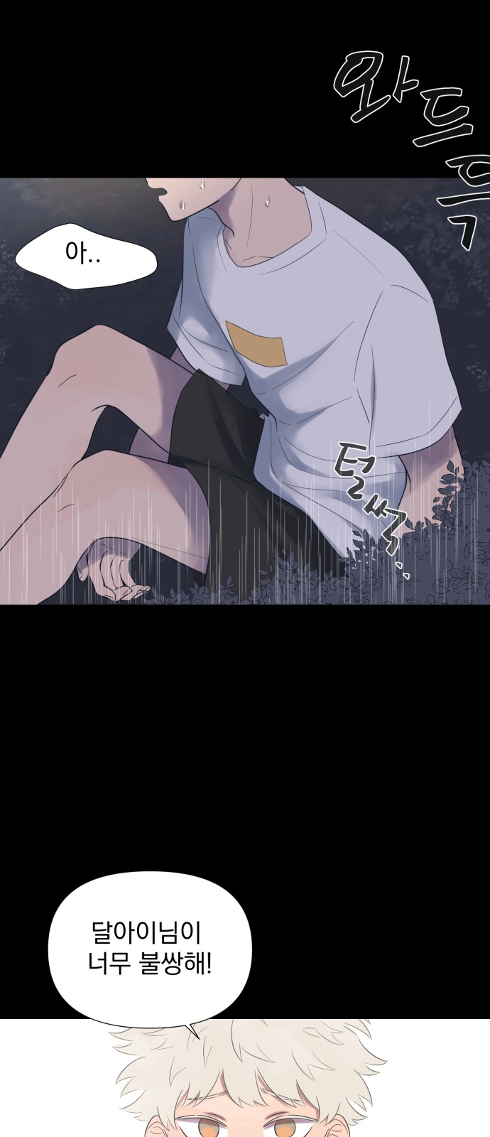 85 페이지