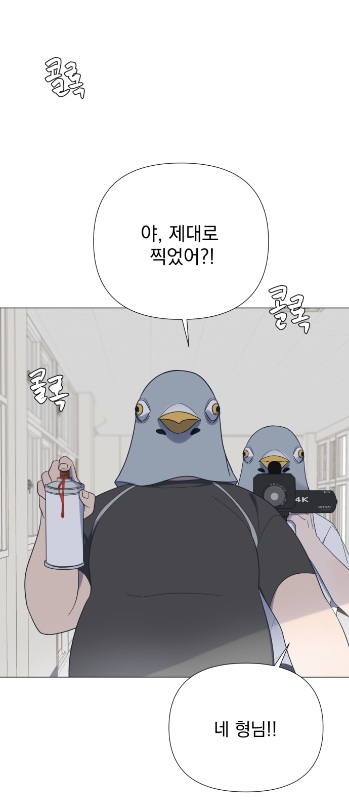30 페이지