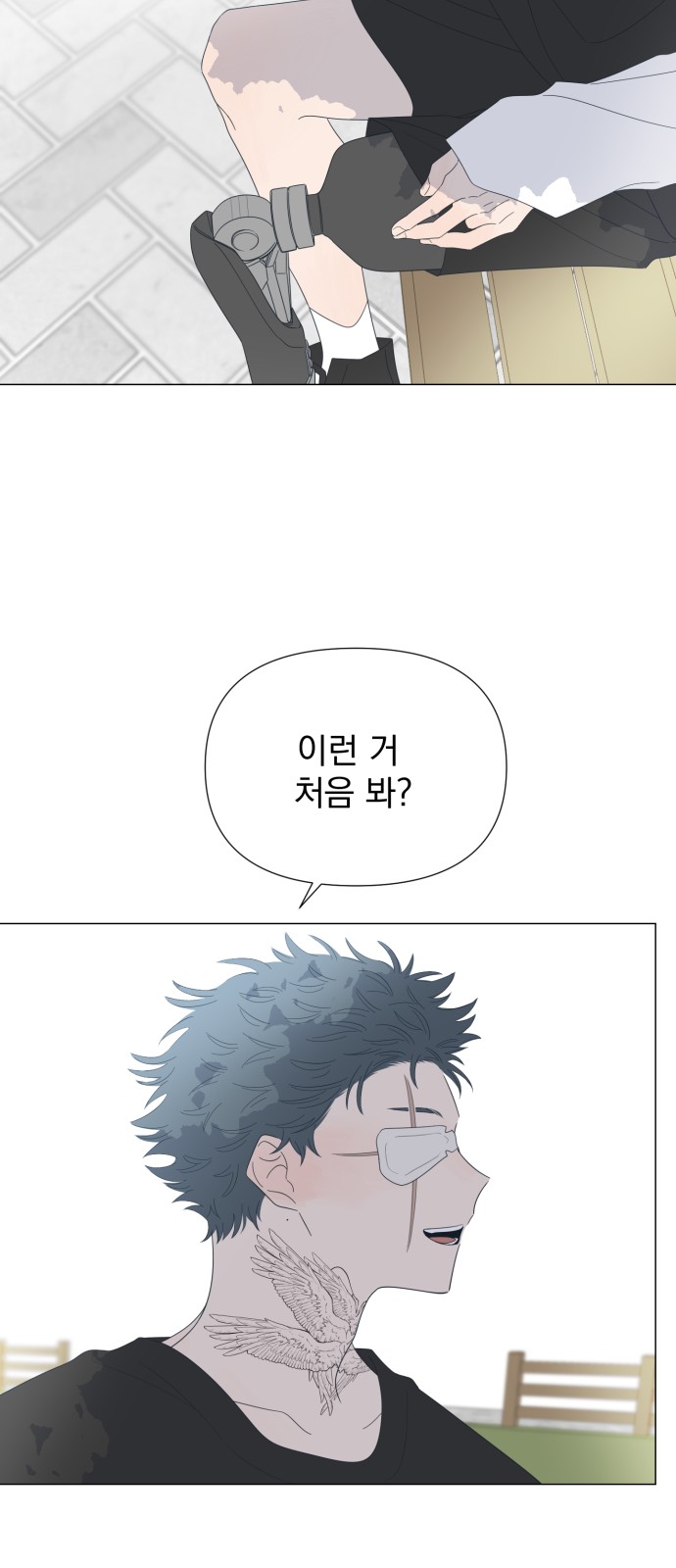 11 페이지