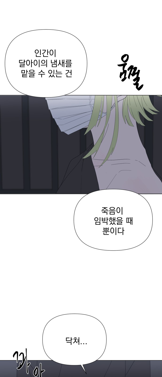 42 페이지