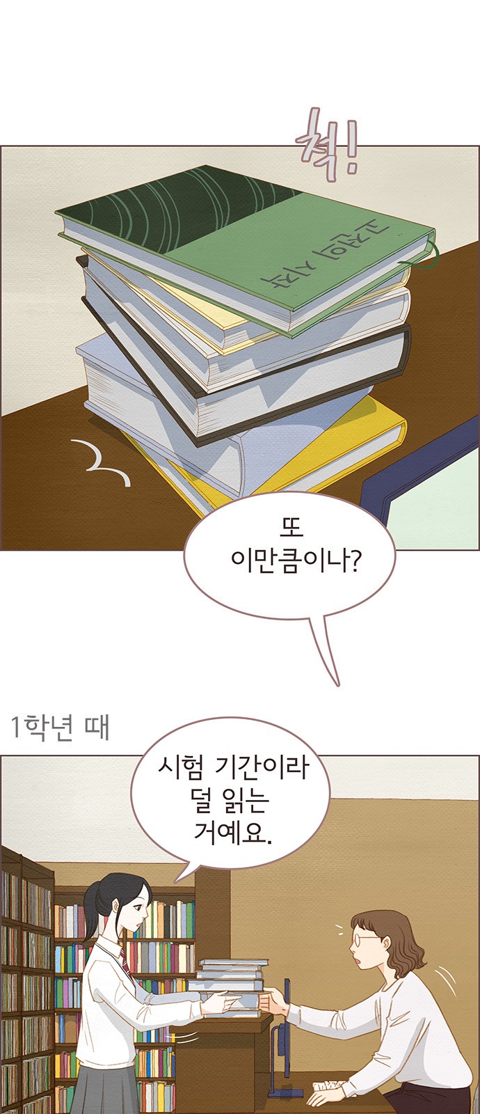 5 페이지