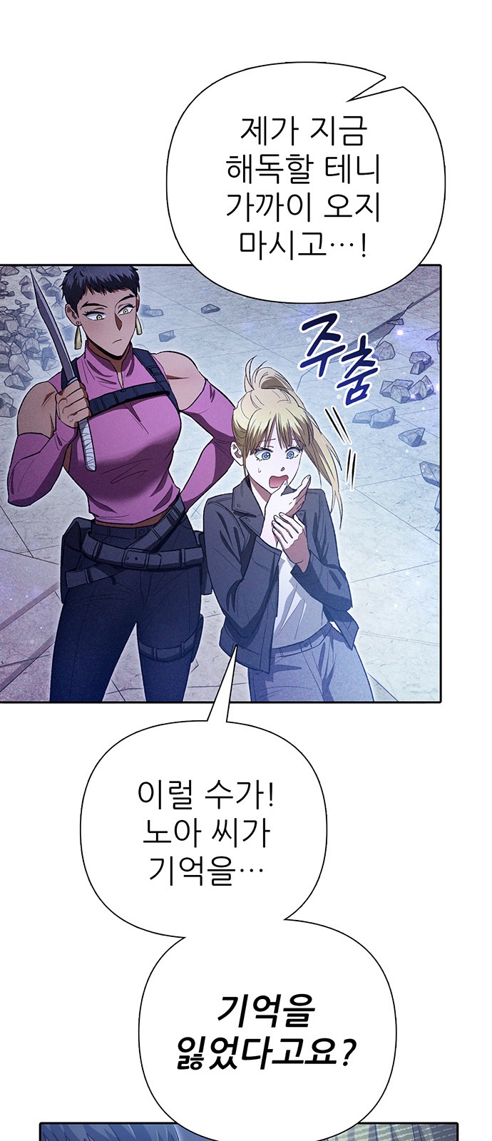 67 페이지