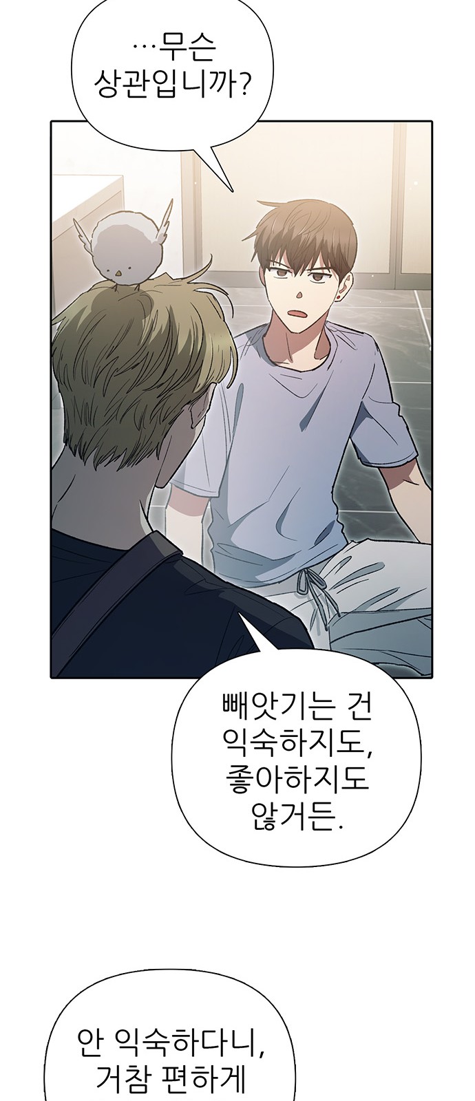 29 페이지