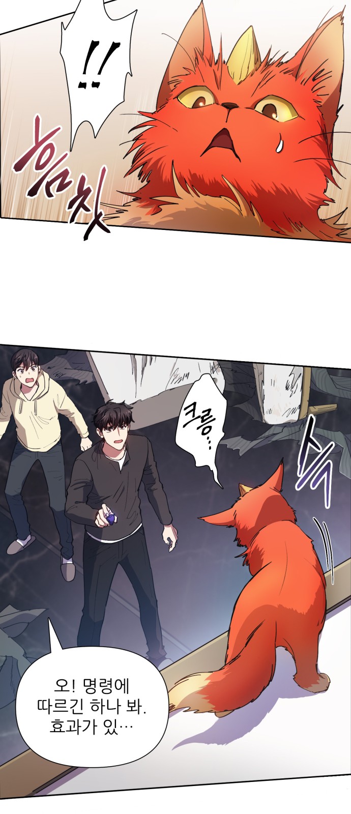 33 페이지