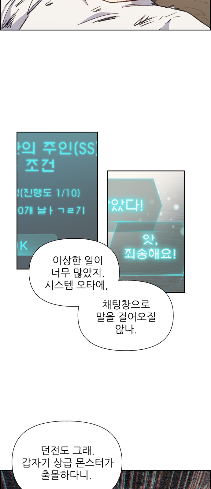 41 페이지