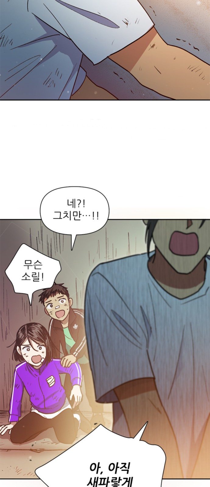 36 페이지