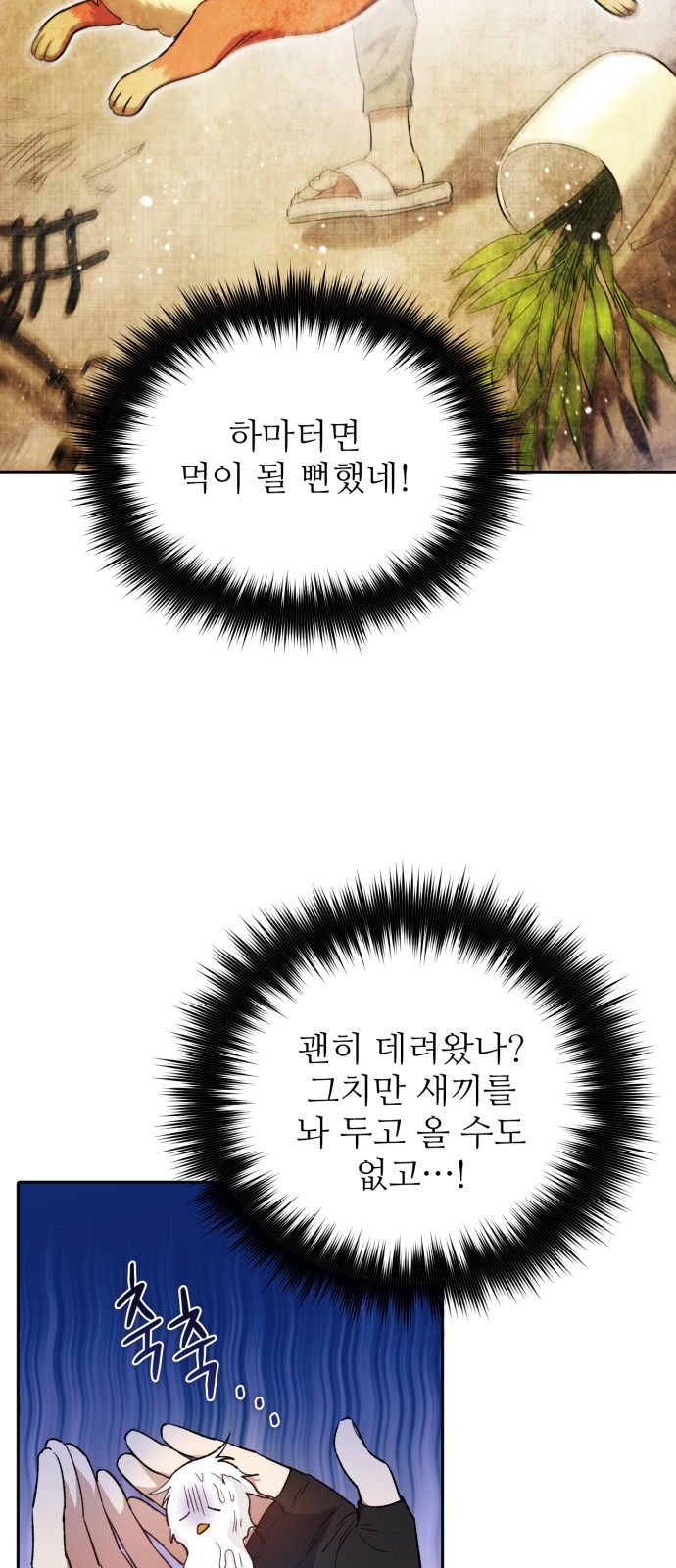 48 페이지
