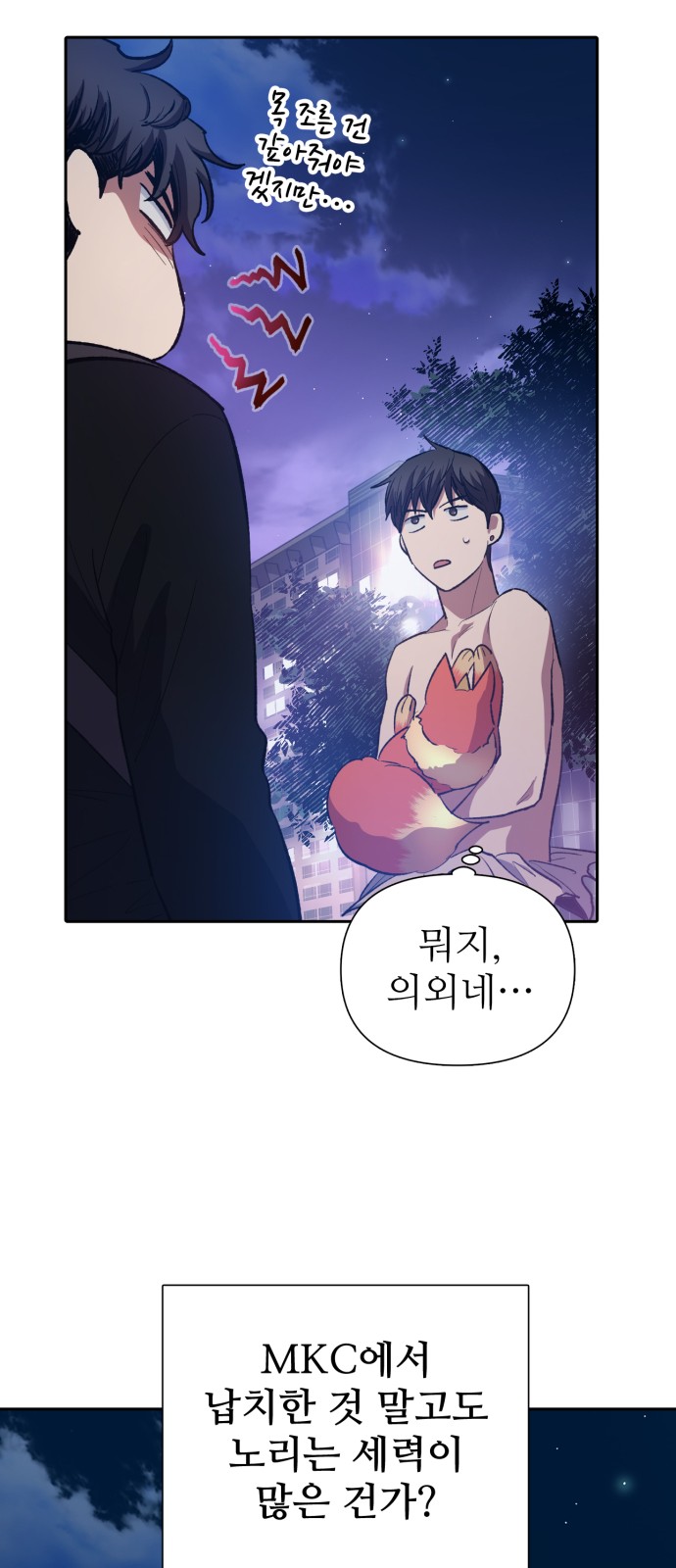 43 페이지