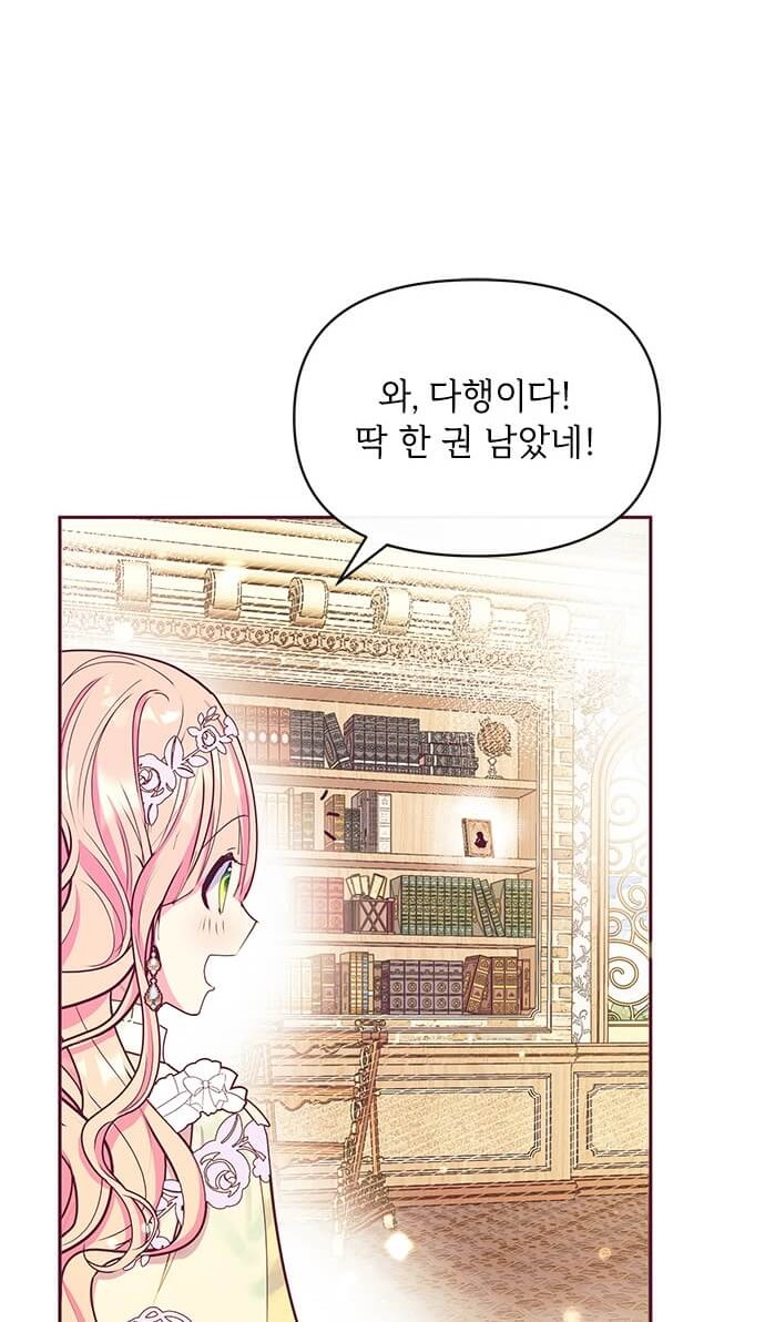 66 페이지