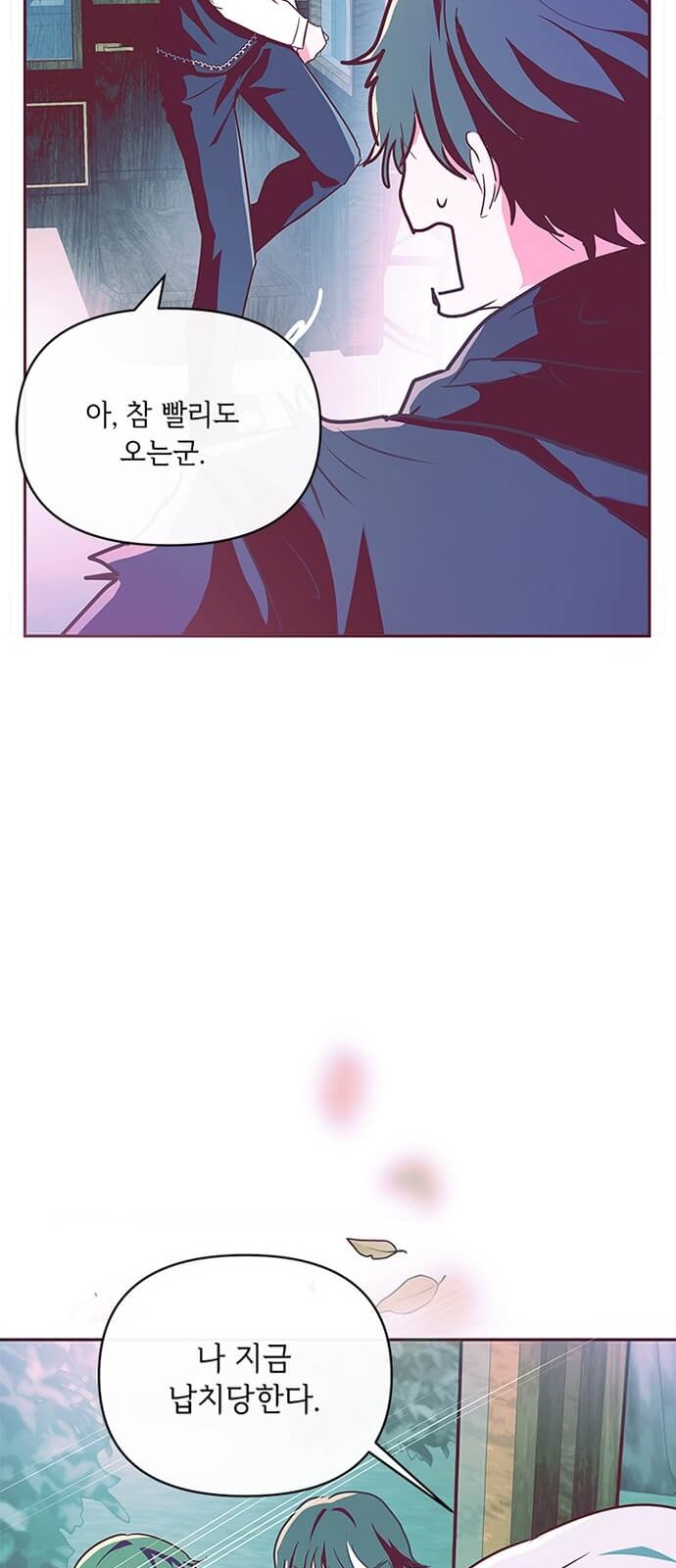 41 페이지