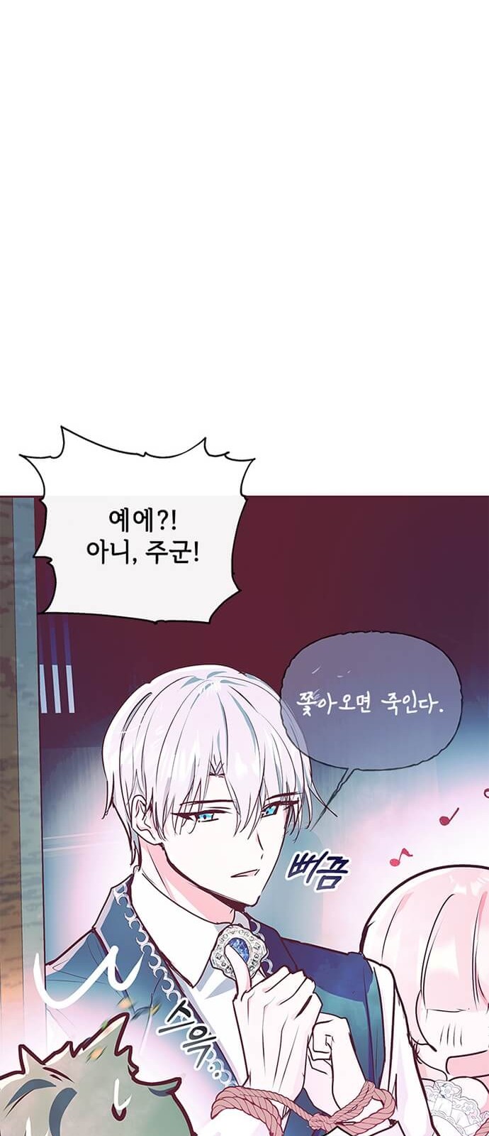 44 페이지