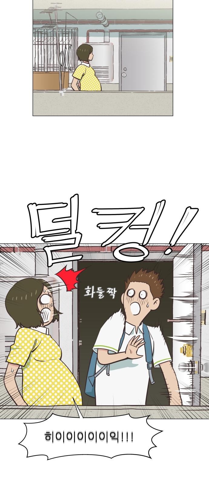 46 페이지