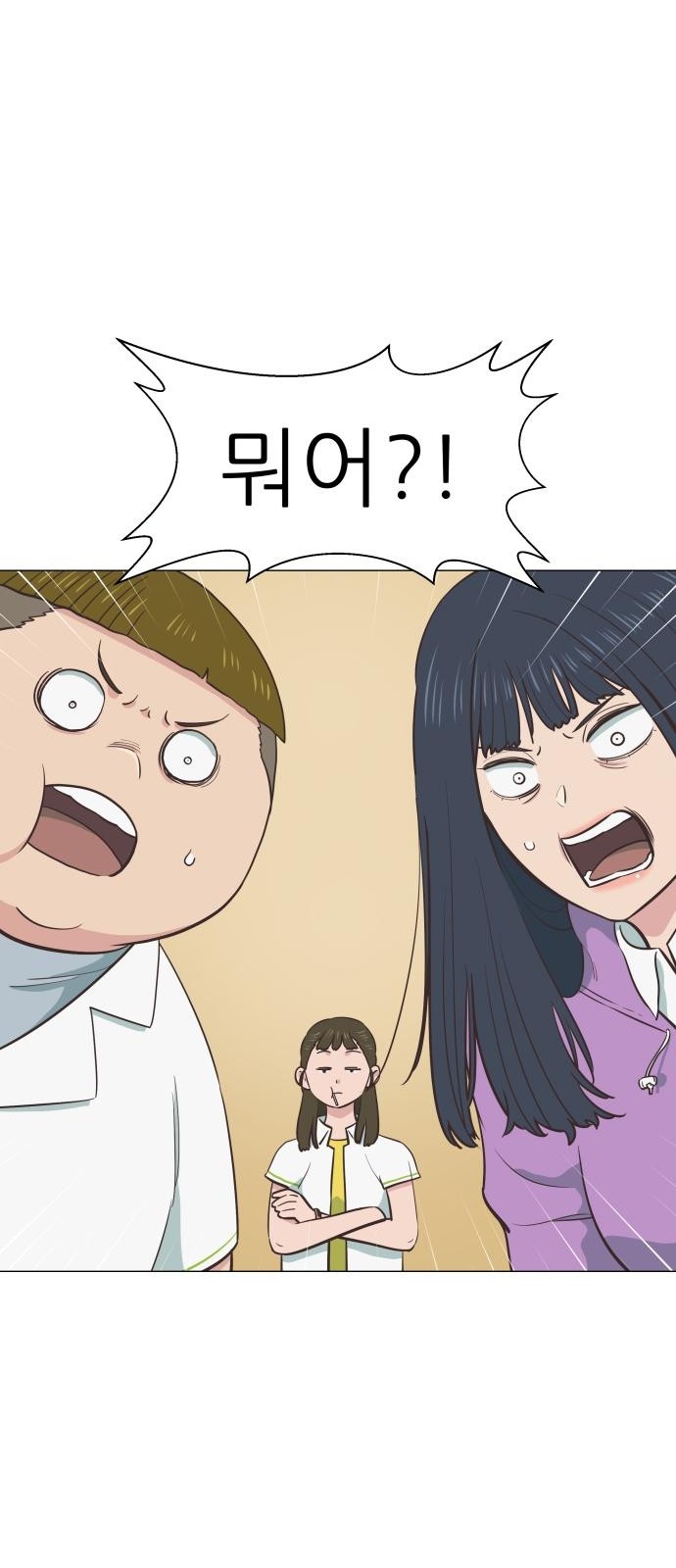 33 페이지
