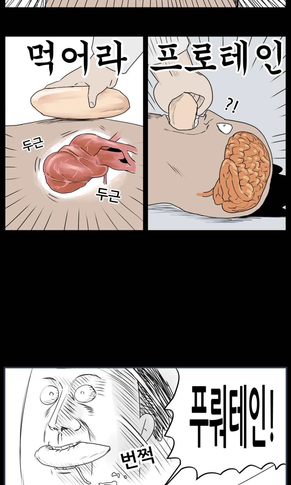 13 페이지