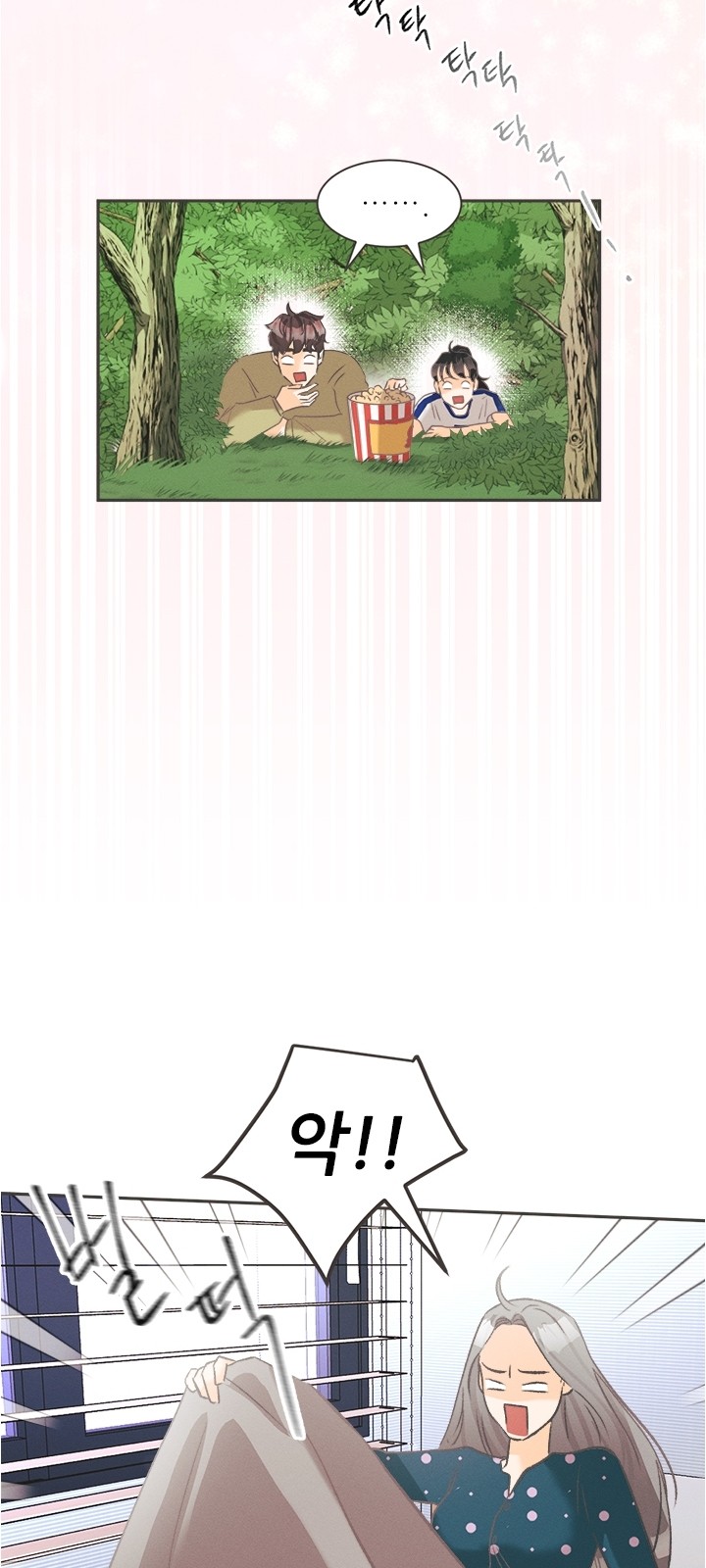 53 페이지