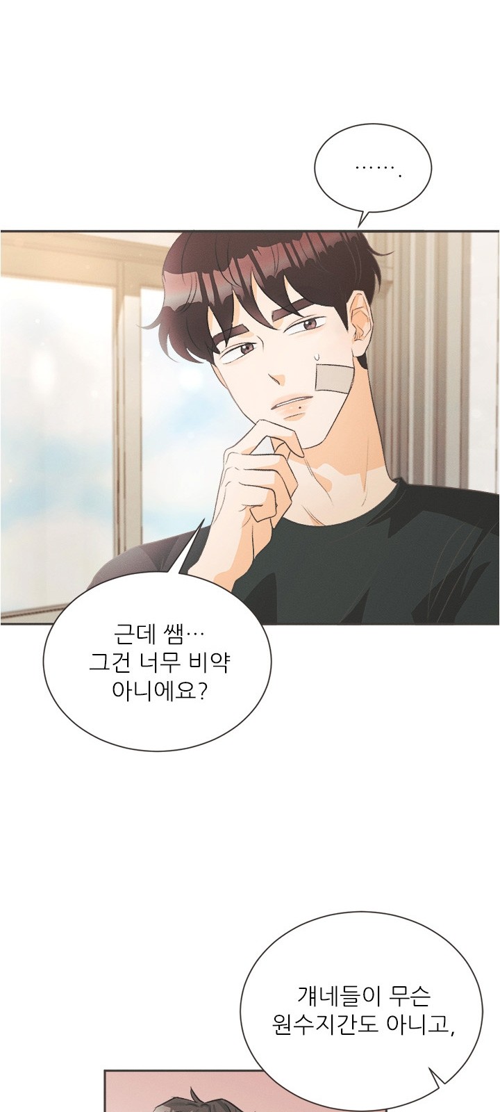 33 페이지