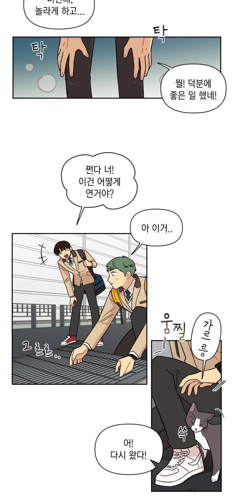 15 페이지