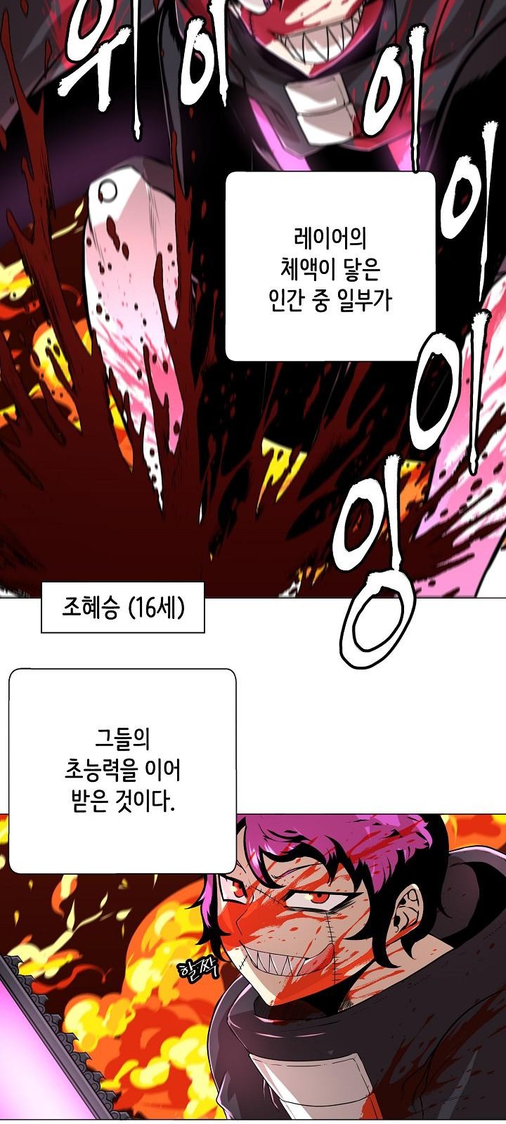 56 페이지