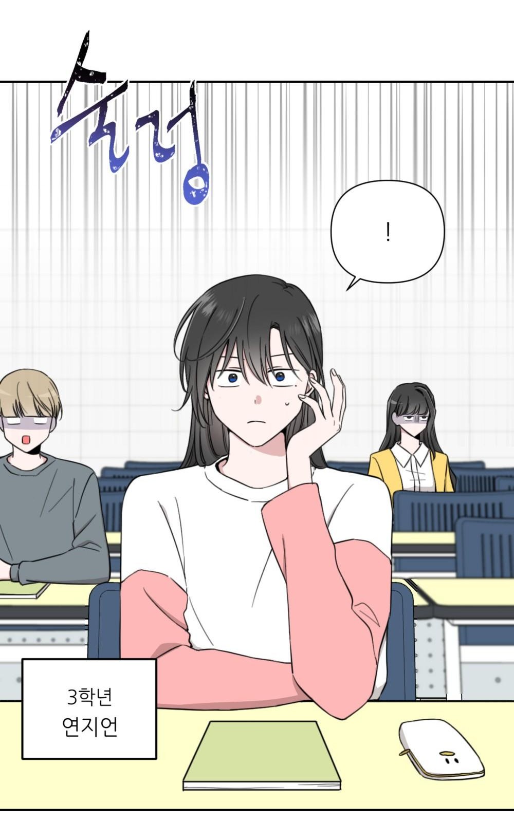 12 페이지