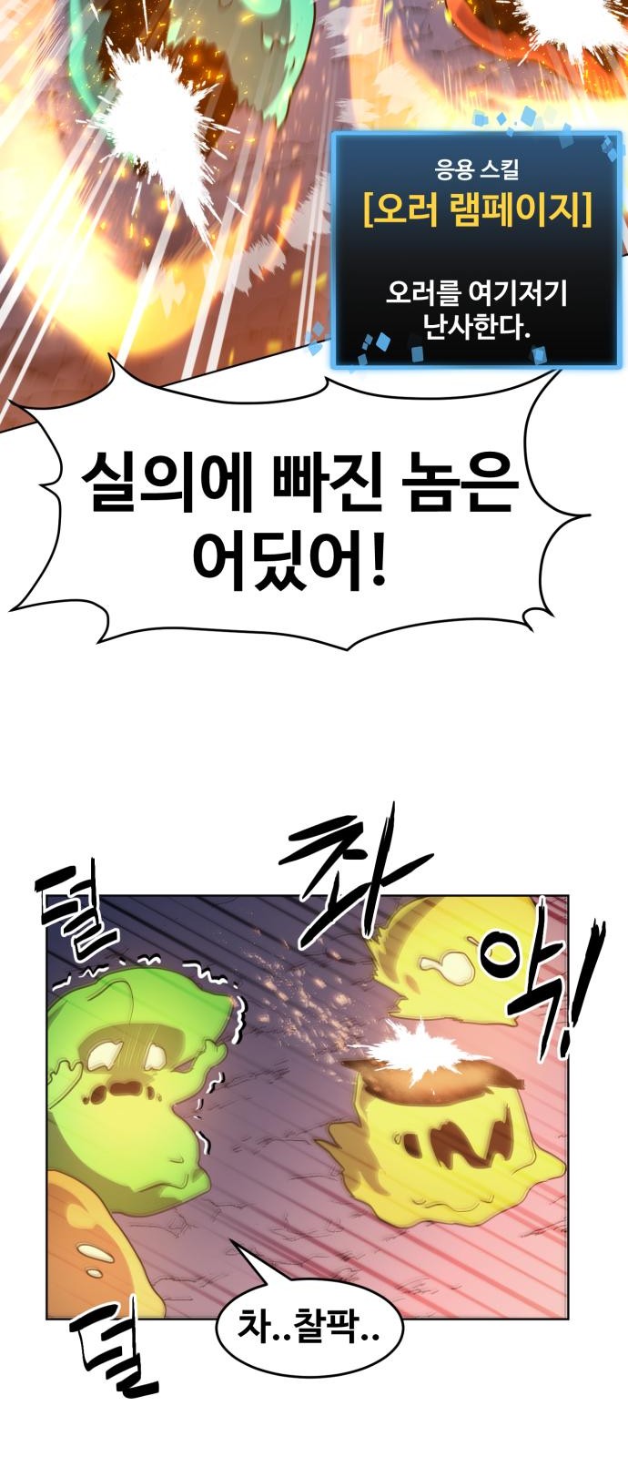 63 페이지