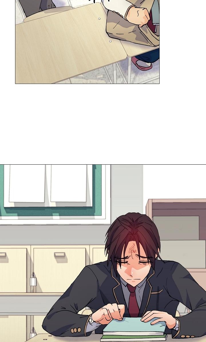 48 페이지