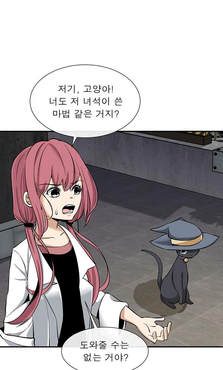 14 페이지