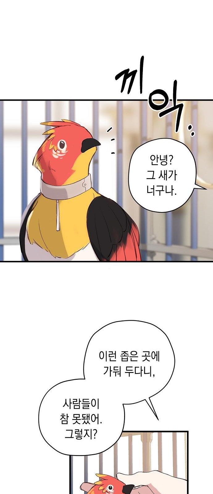 43 페이지