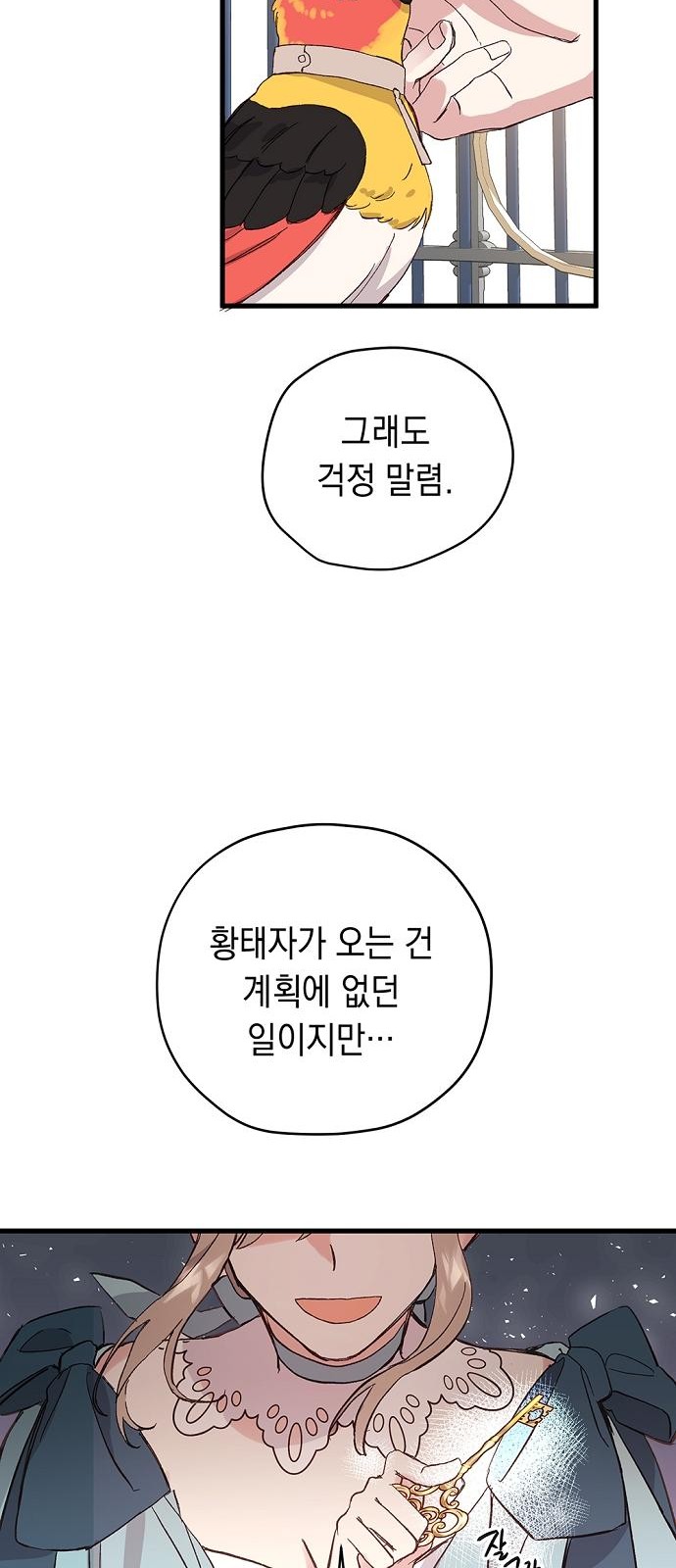 44 페이지