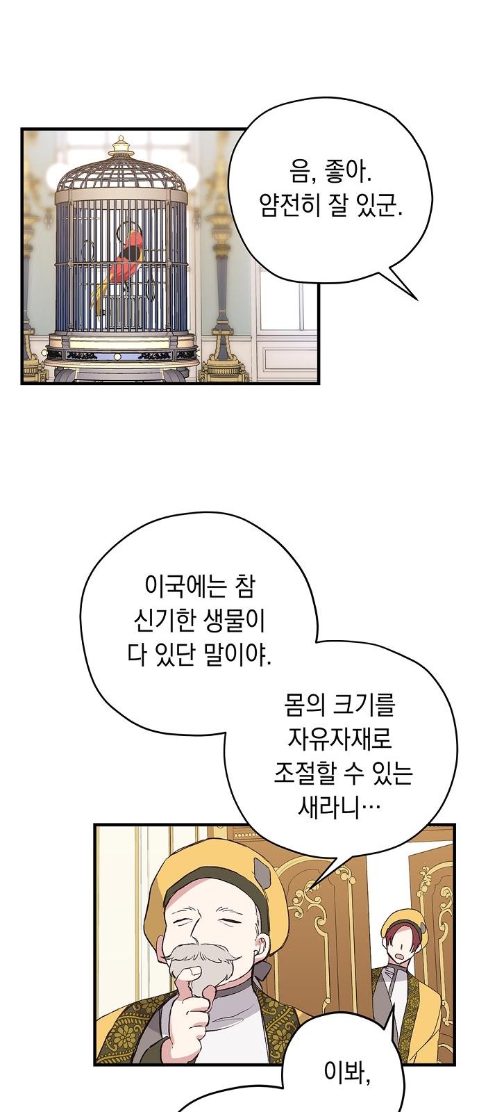 38 페이지