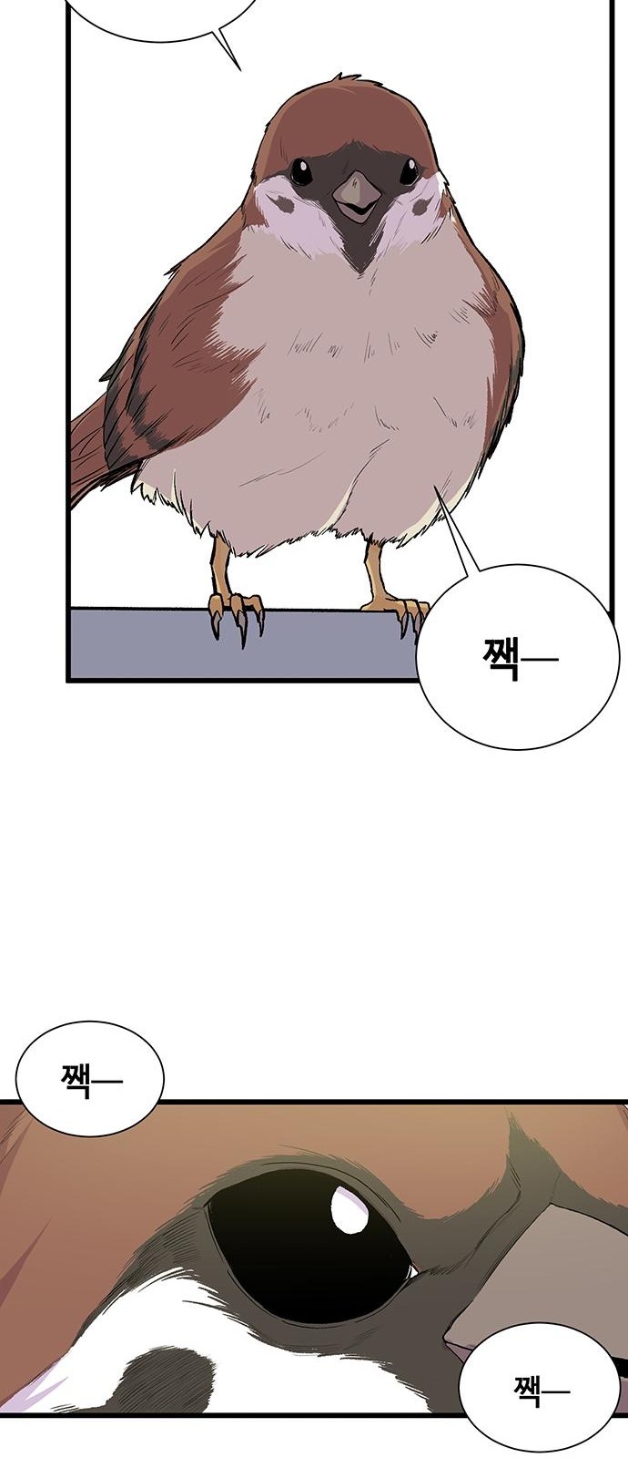 68 페이지