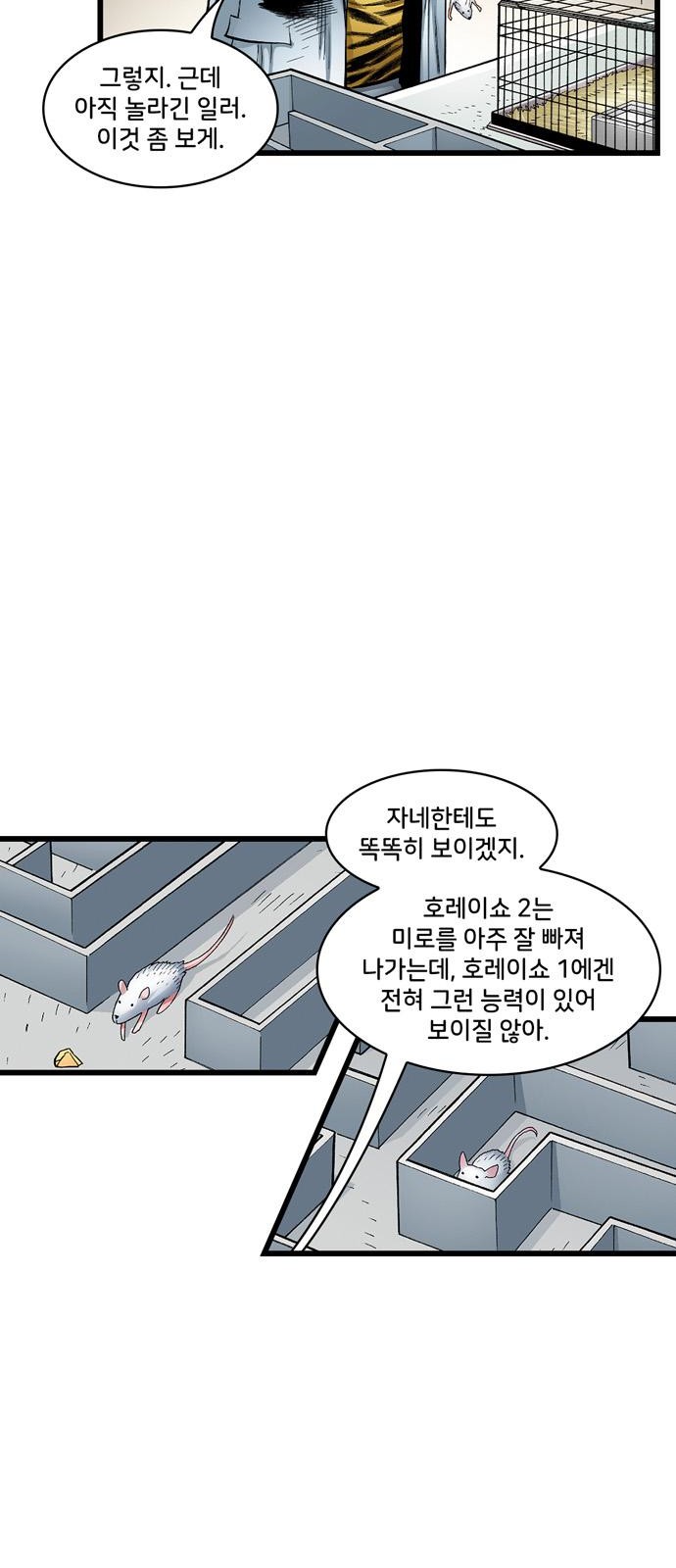 66 페이지