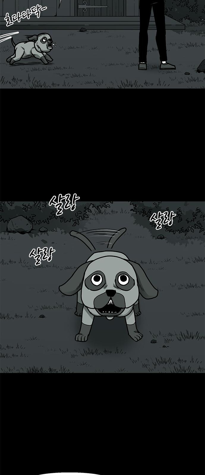 46 페이지