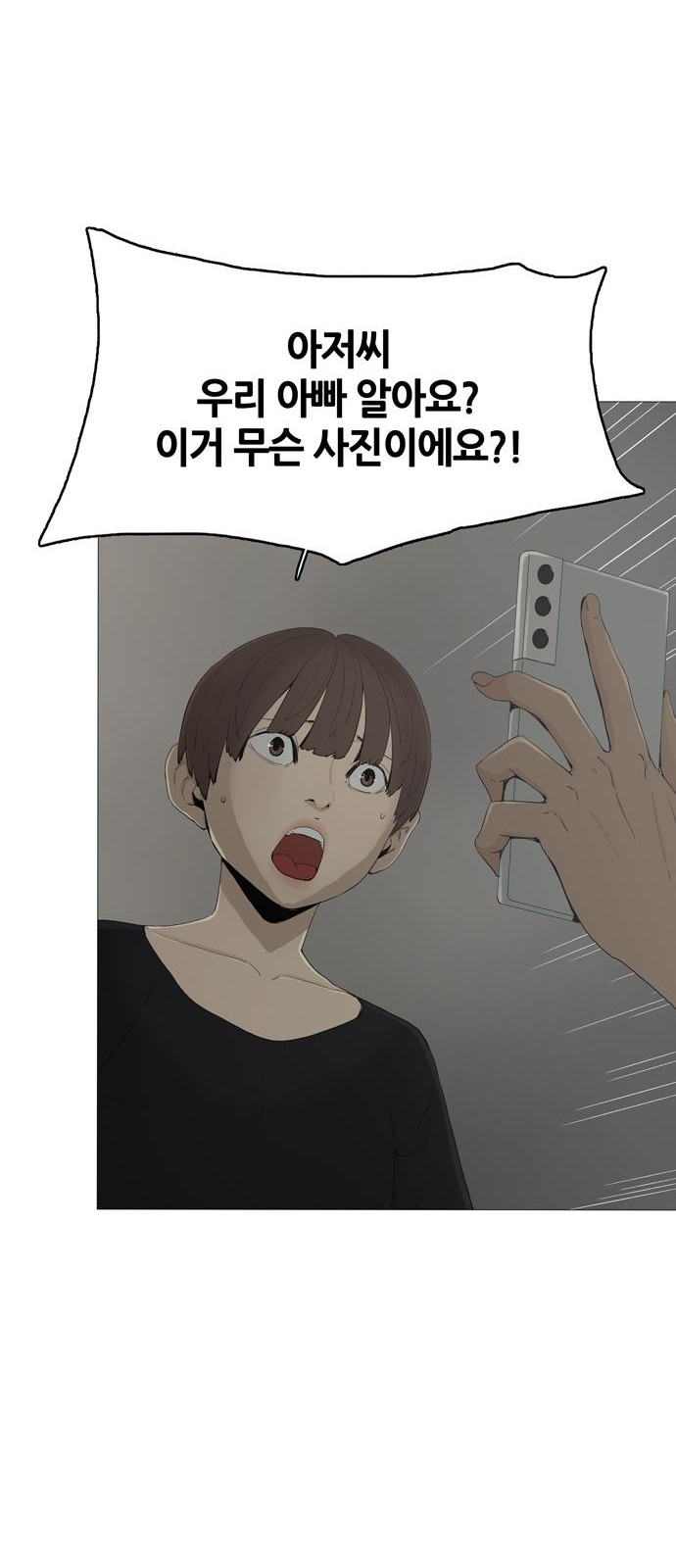 83 페이지