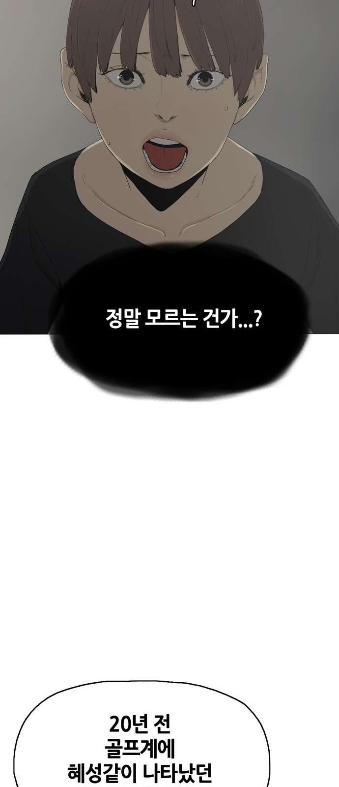 85 페이지