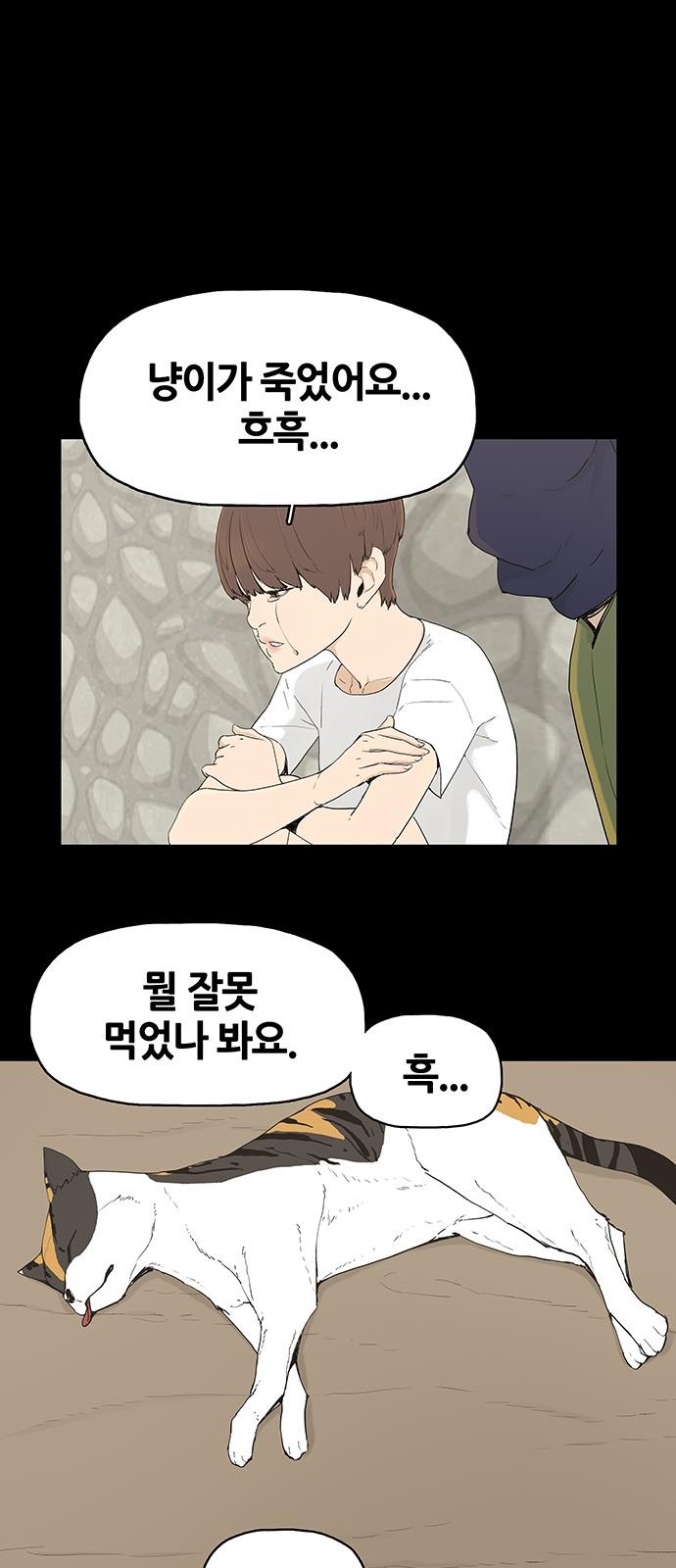 45 페이지