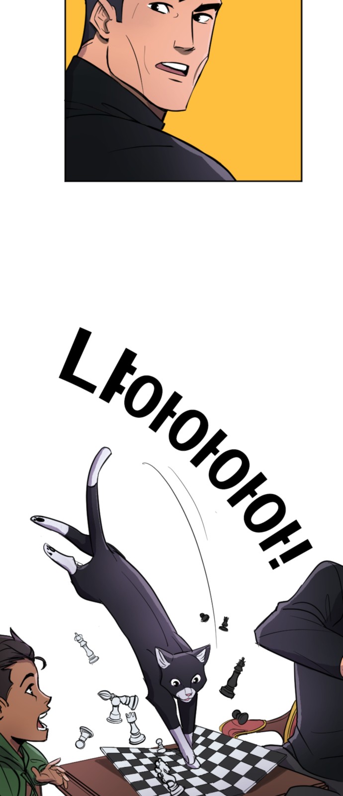 14 페이지