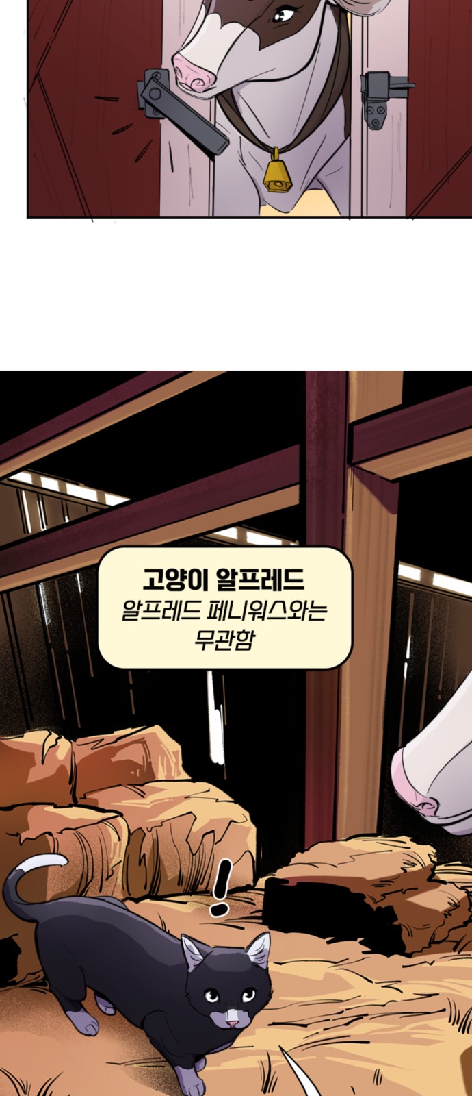 5 페이지
