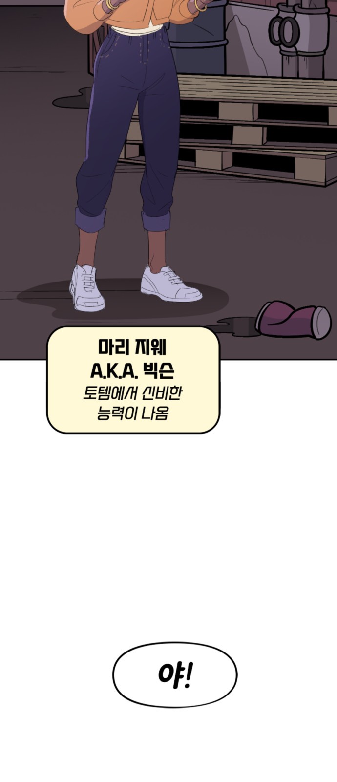 17 페이지