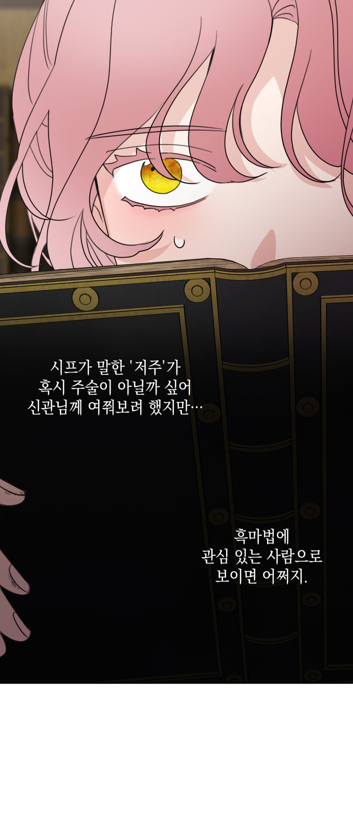 25 페이지