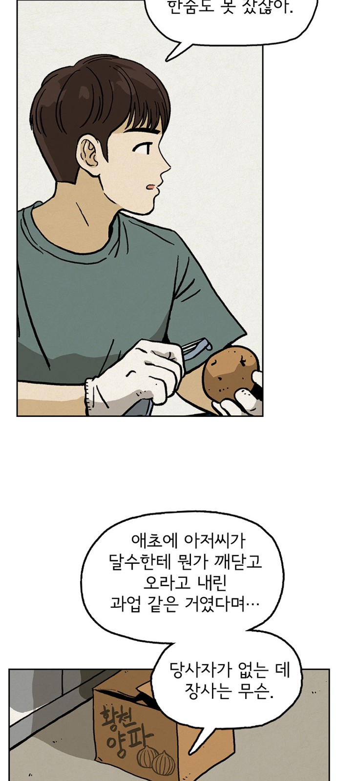 43 페이지