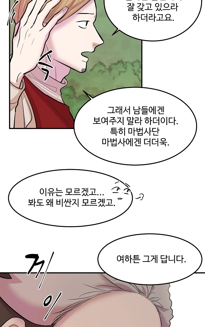 66 페이지