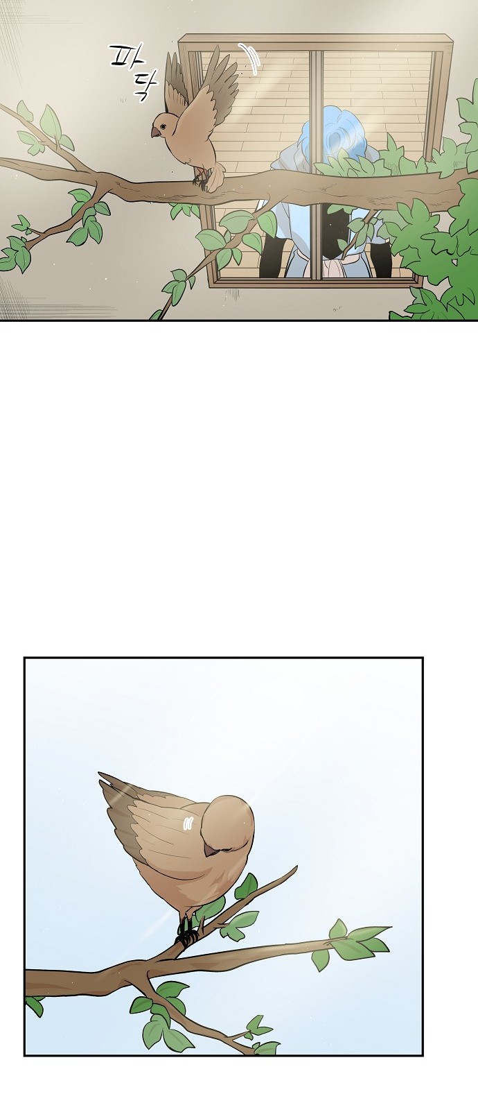 53 페이지
