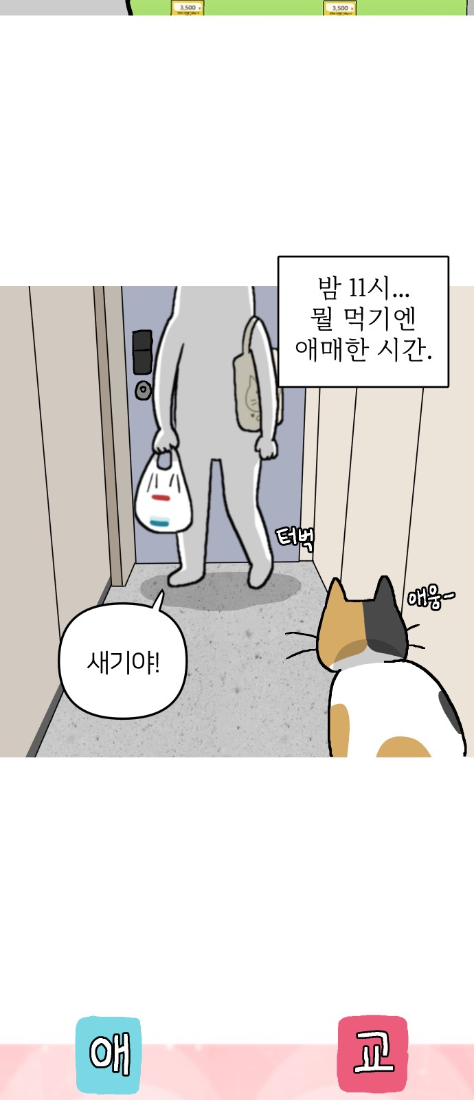 16 페이지