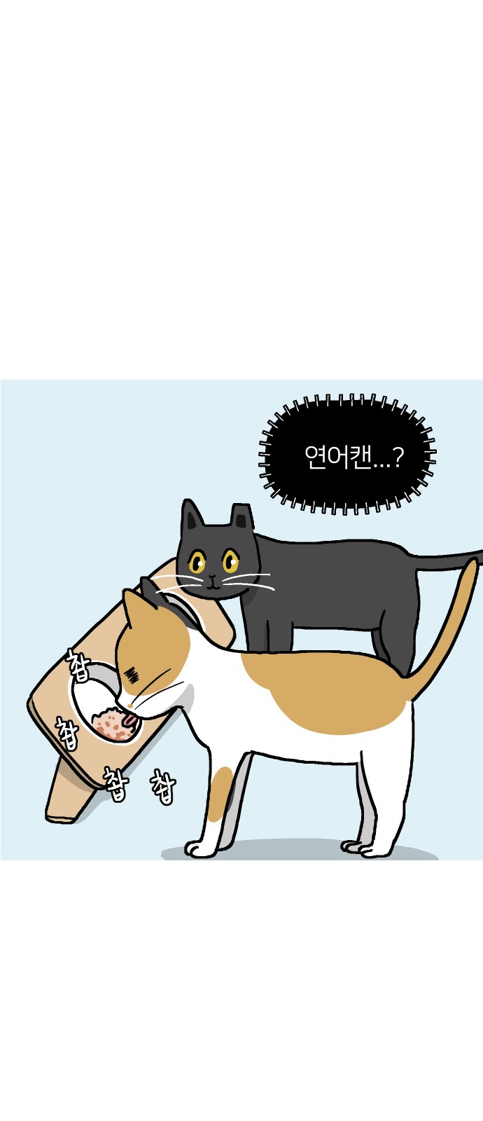 11 페이지
