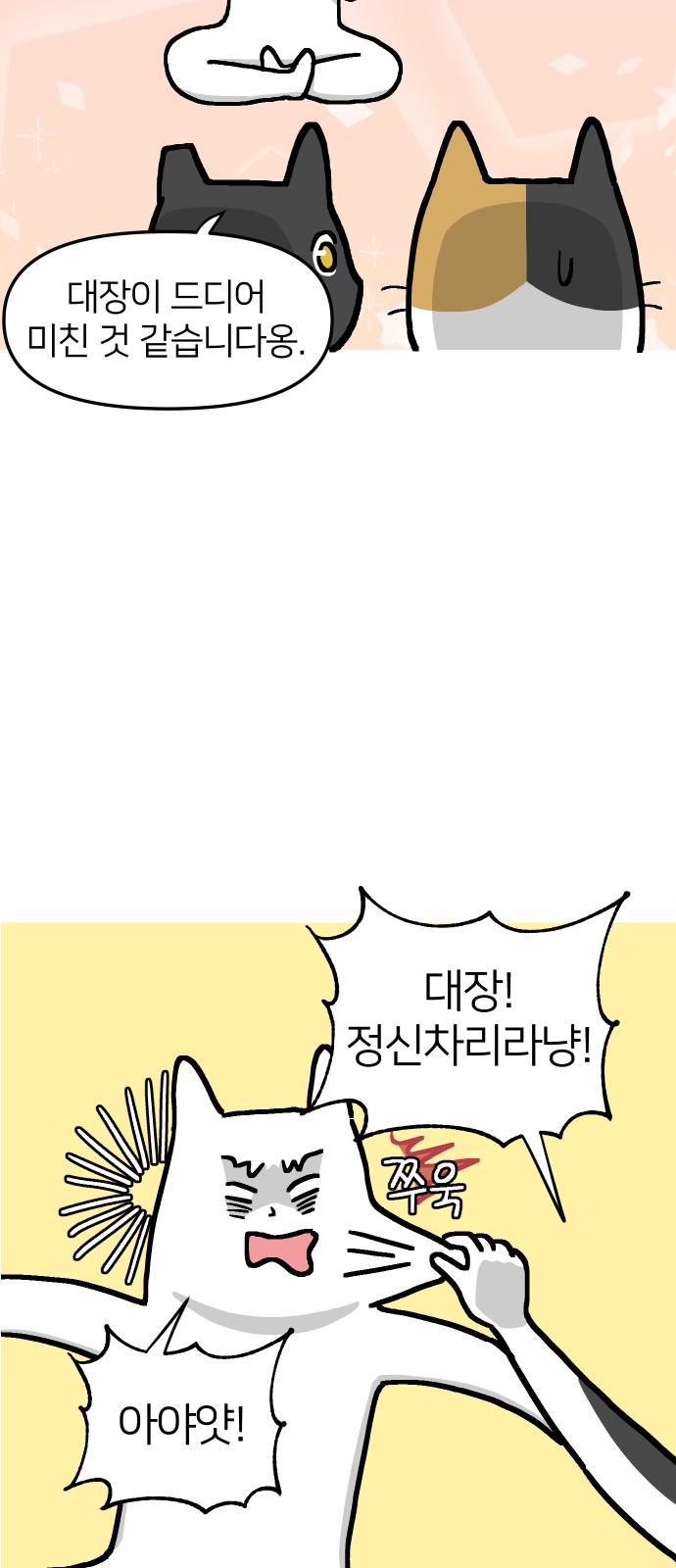 29 페이지
