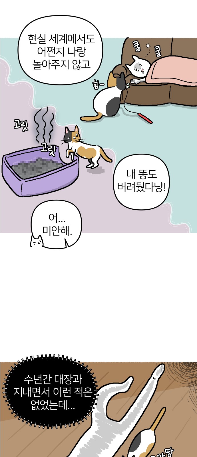 15 페이지