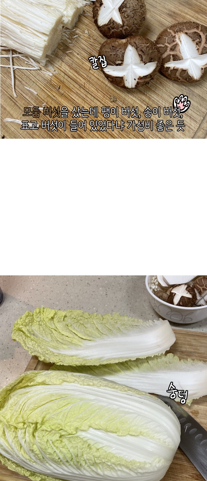 21 페이지