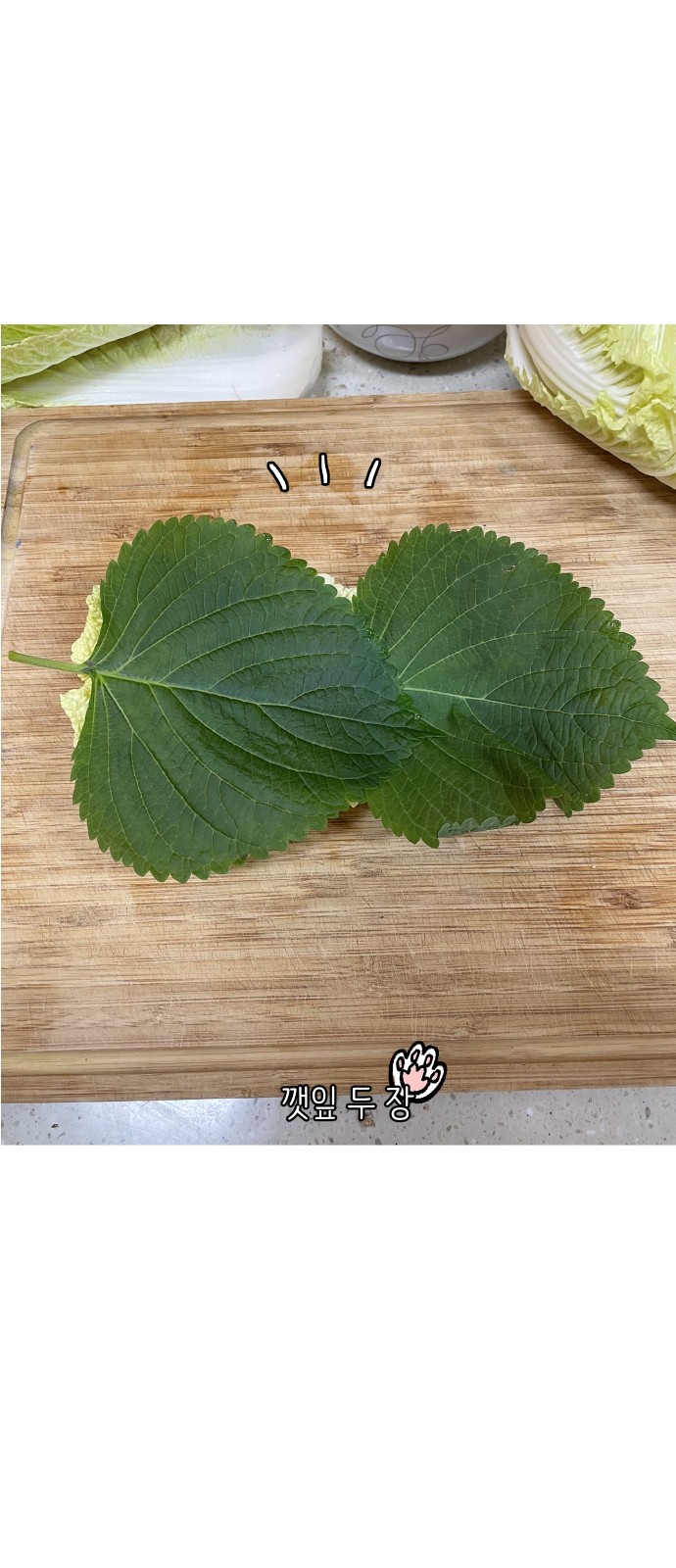 23 페이지